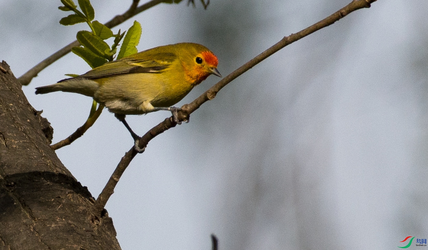DSC_3049.JPG