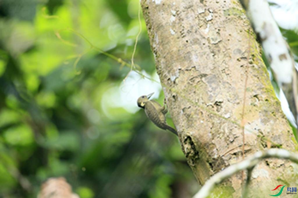 110.jpg