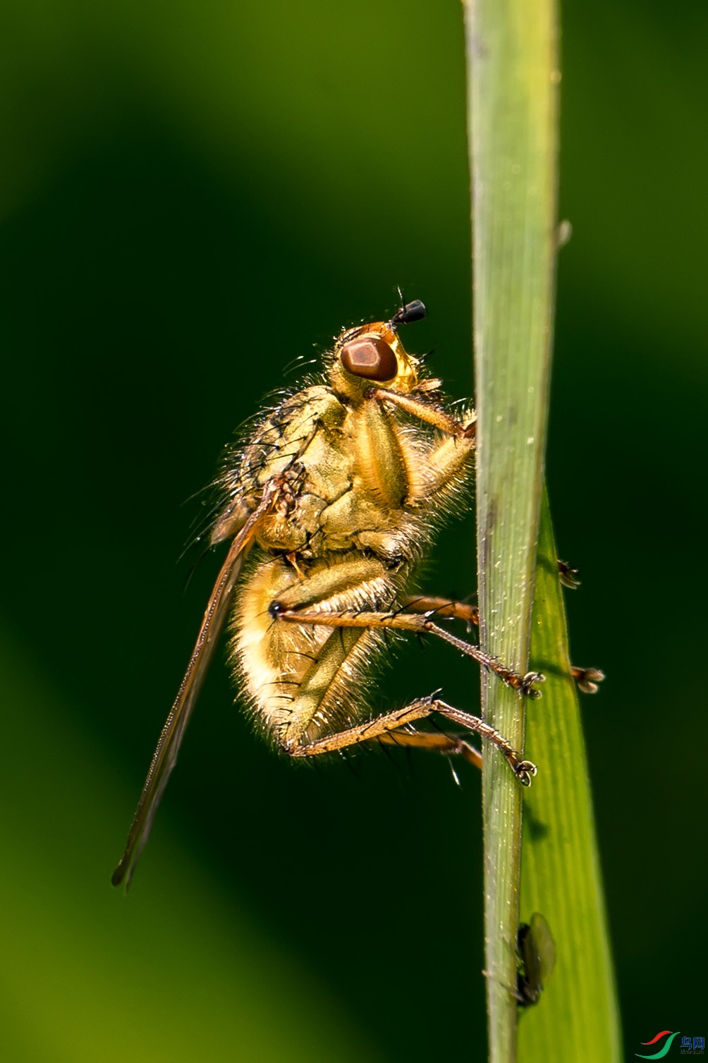 DSC_1335.jpg
