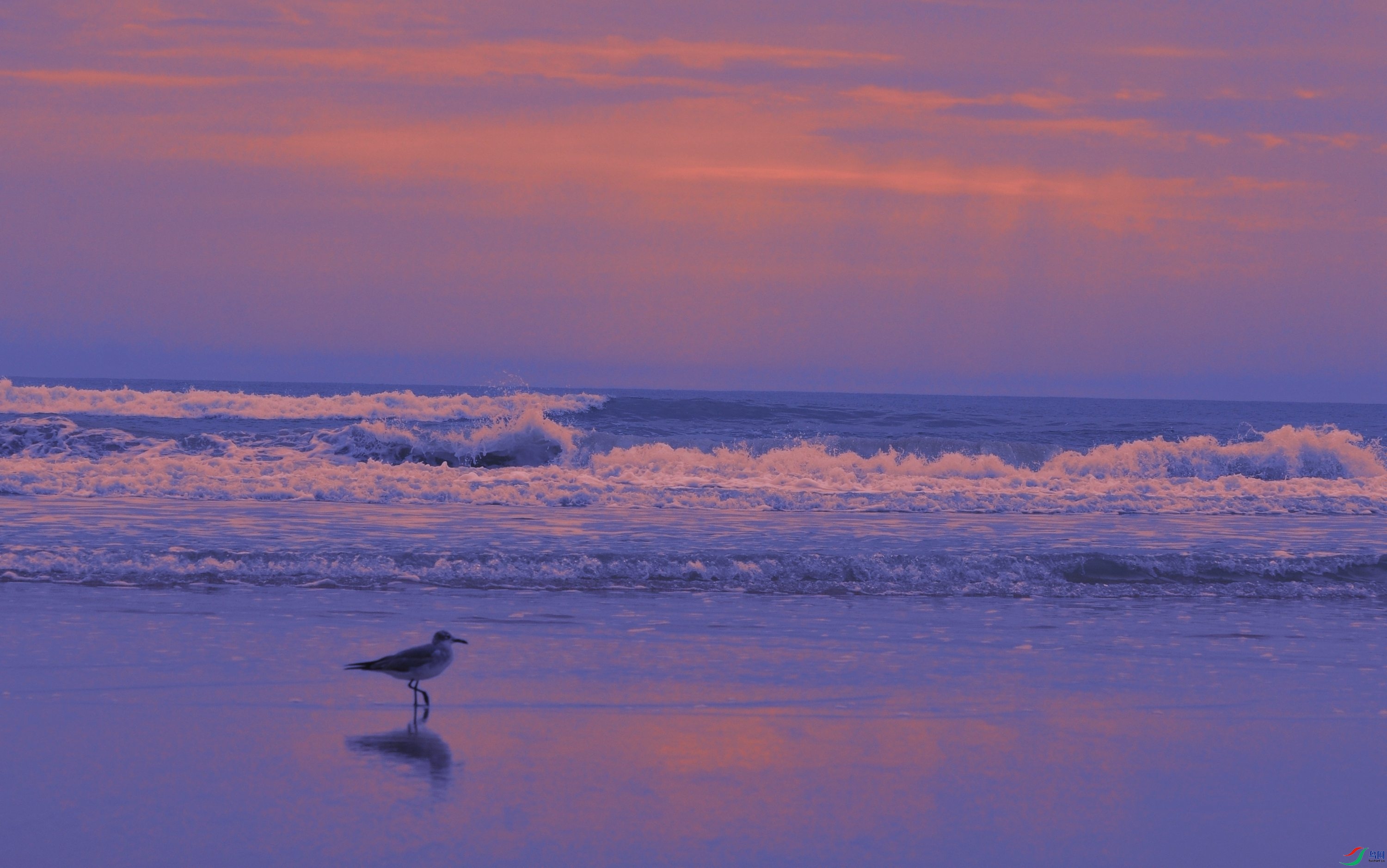 ������ 524_����.jpg