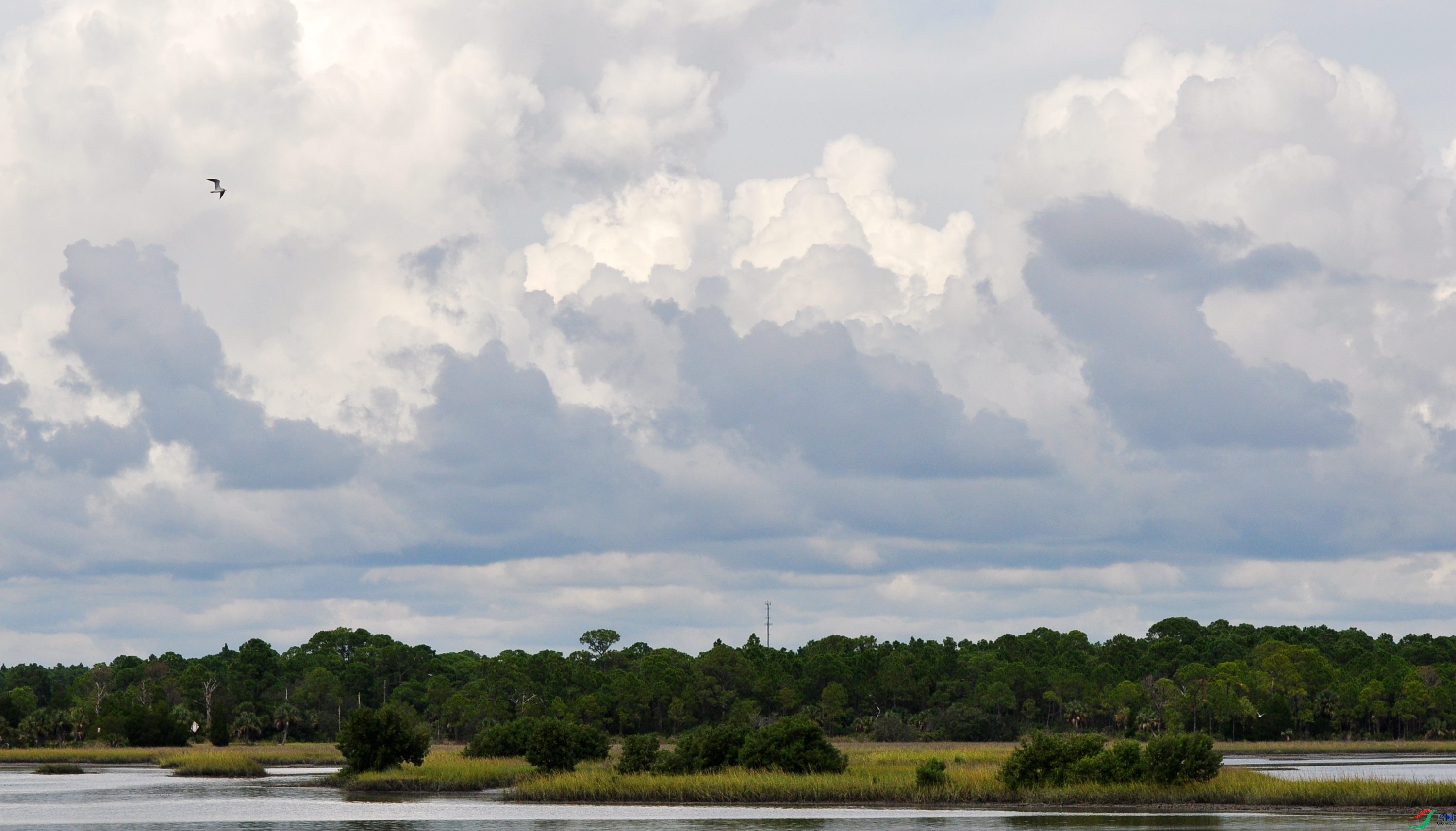 zk 029_����.jpg