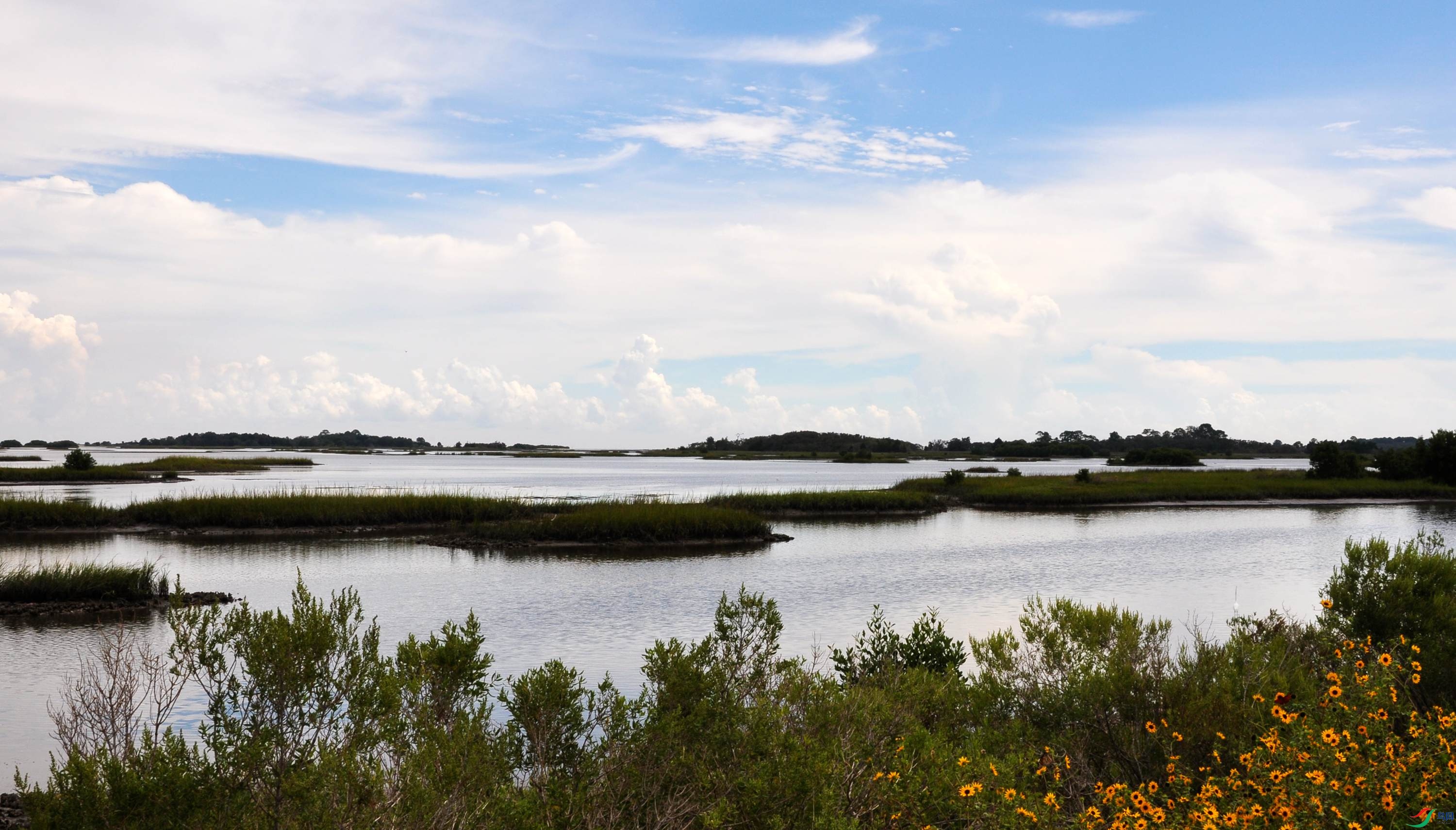 zk 003_����.jpg