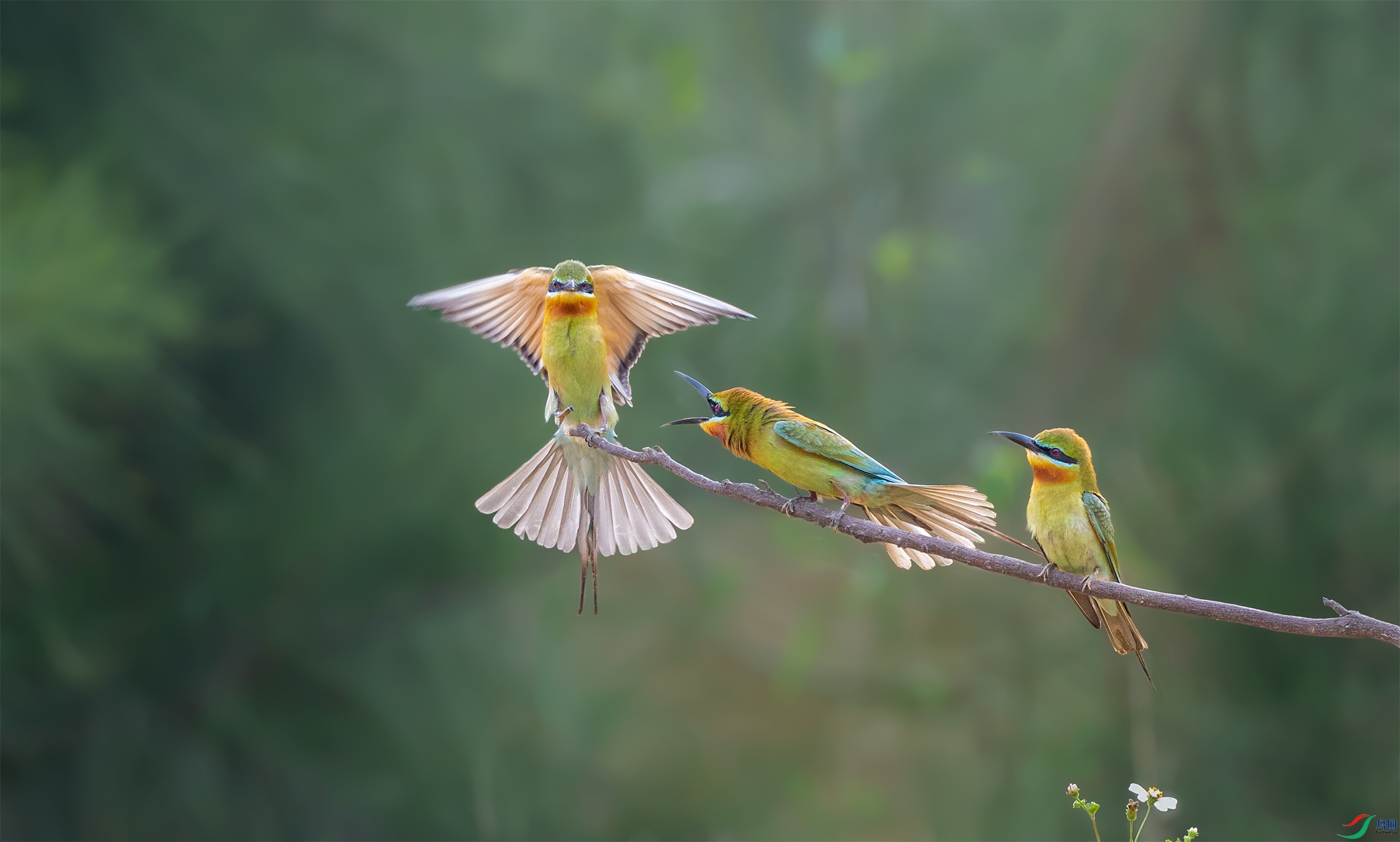 DSC_6527.jpg