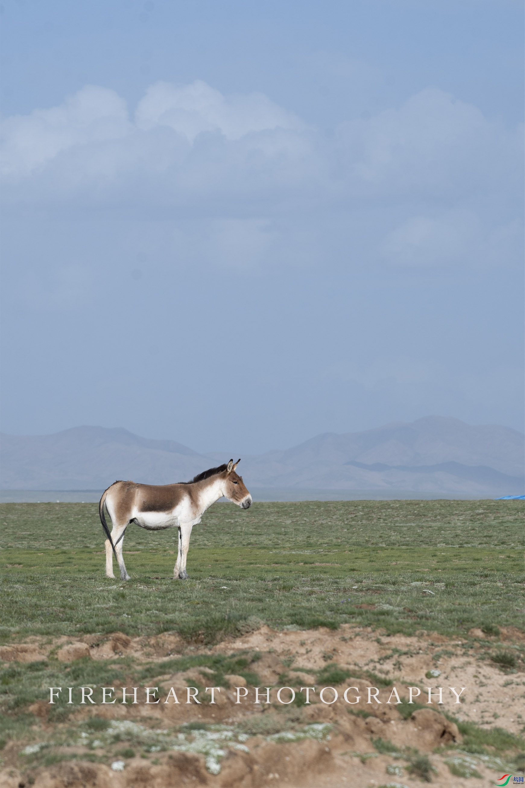 DSC_2377.jpg