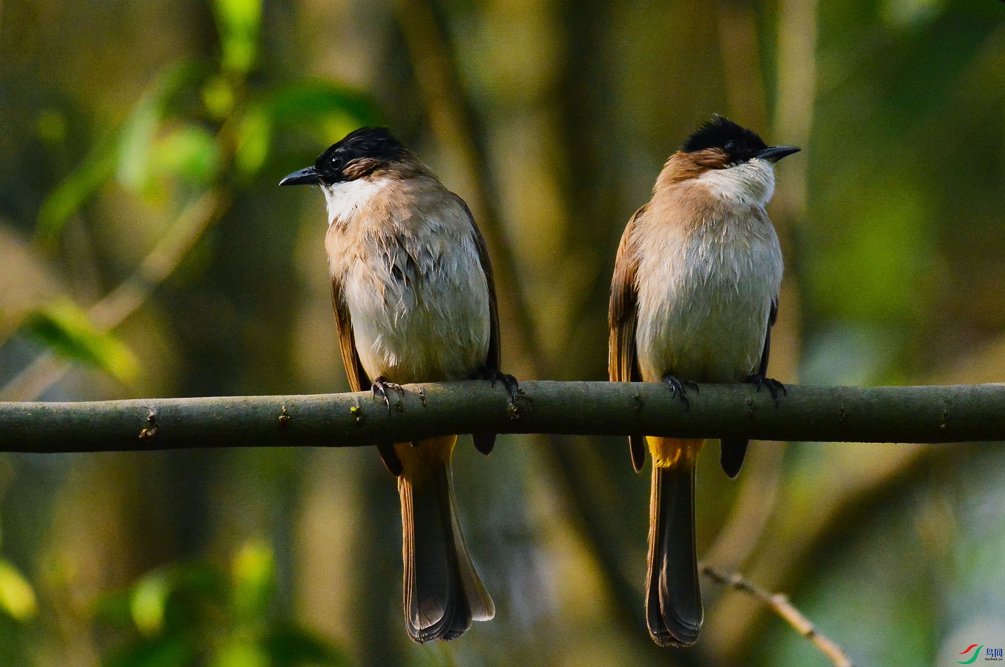 ��Ŀ�˲���