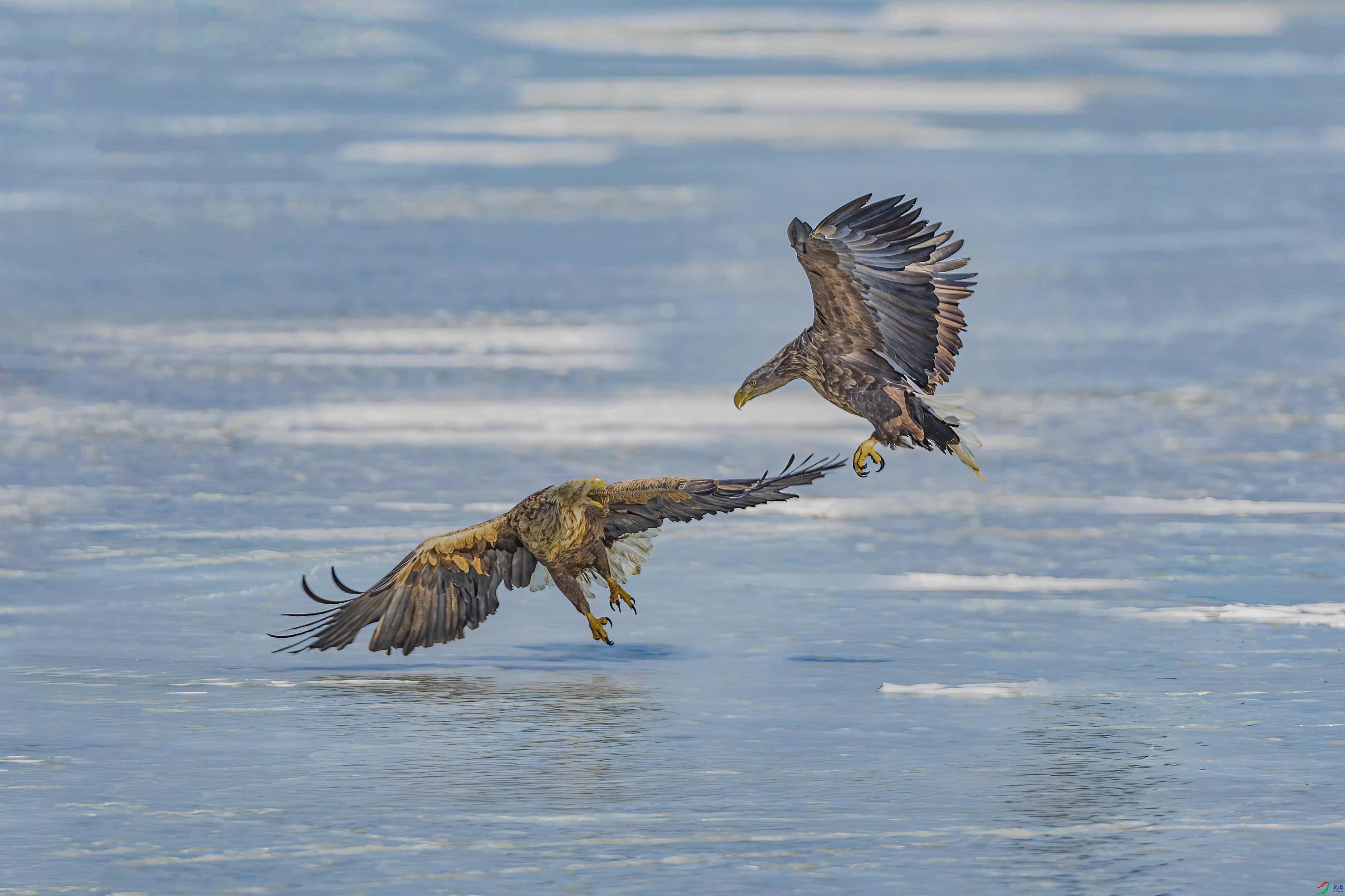 ��β����