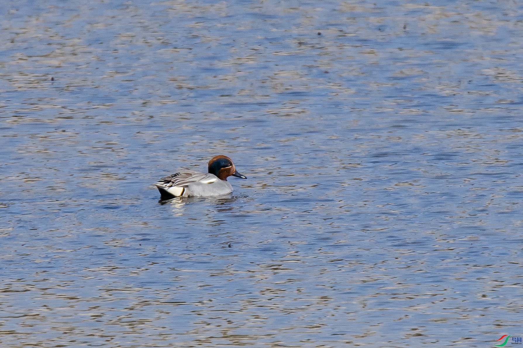 DSC_0894 ����a.jpg