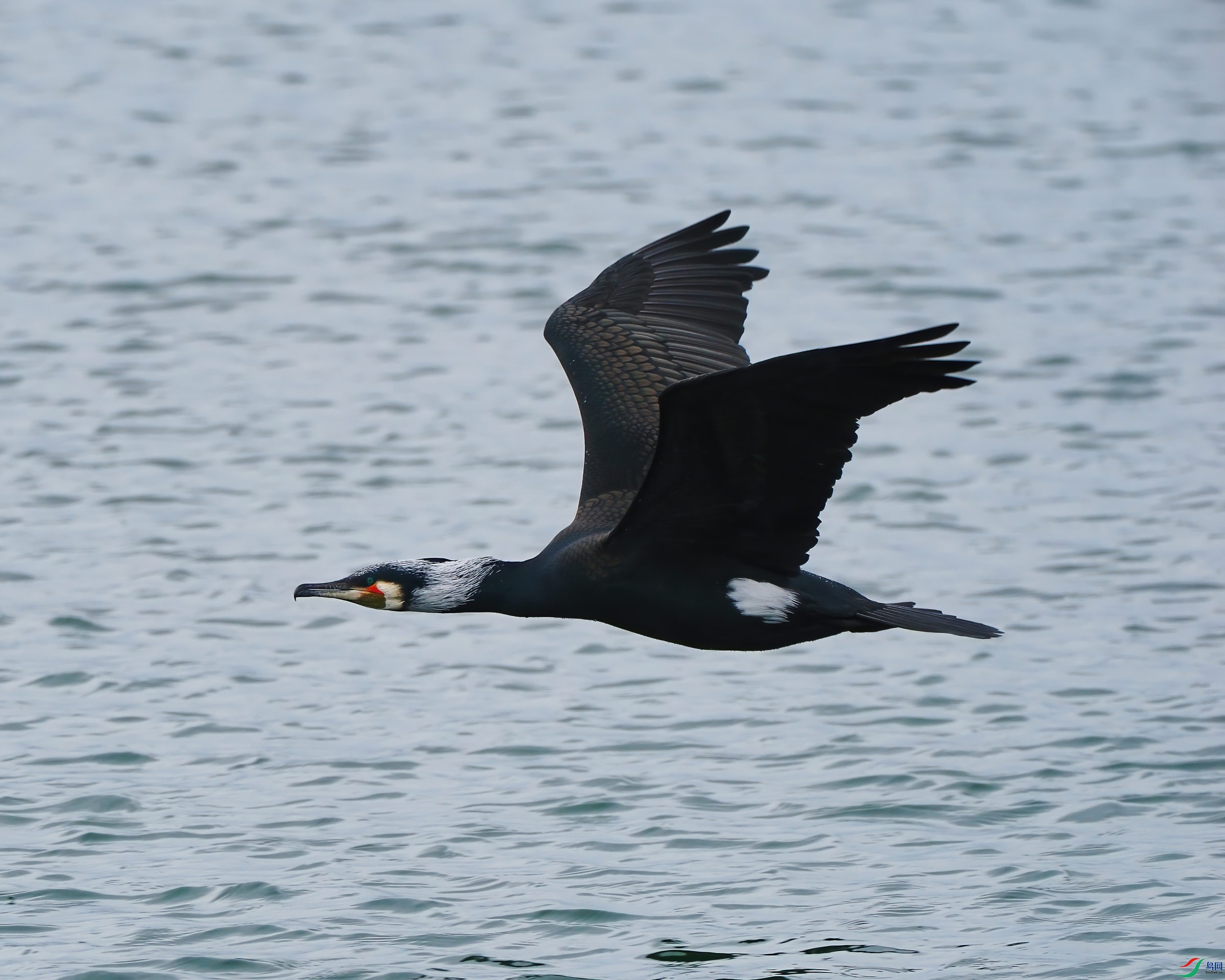 P3310026_2.jpg