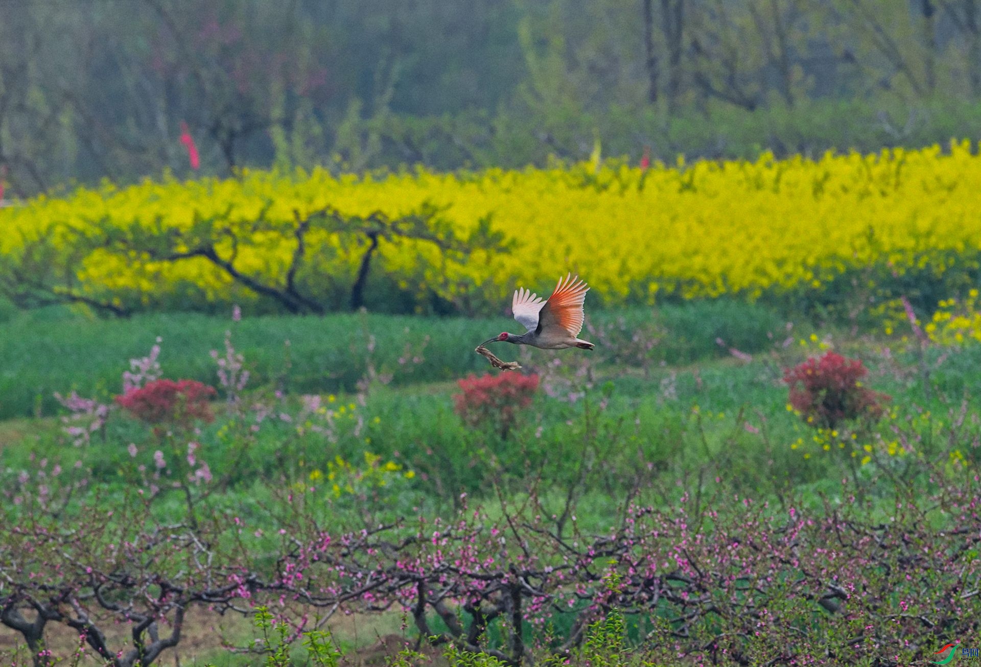 DSC_6200-Exposure.jpg