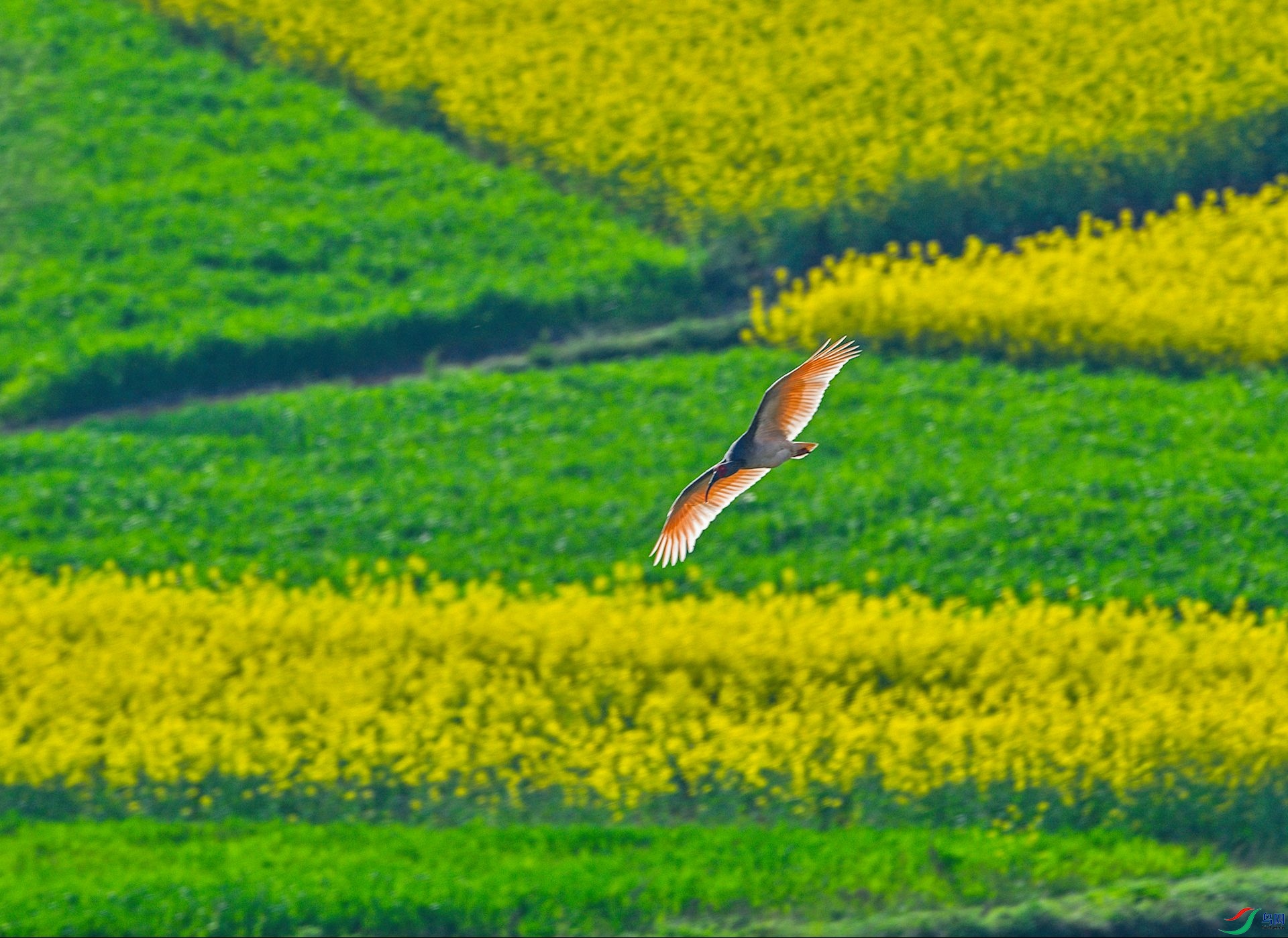 DSC_5451-Exposure.jpg