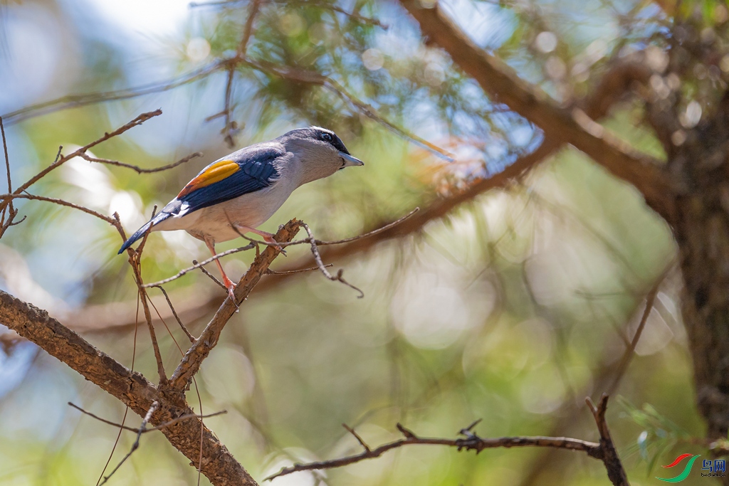 DSC_2380a.jpg