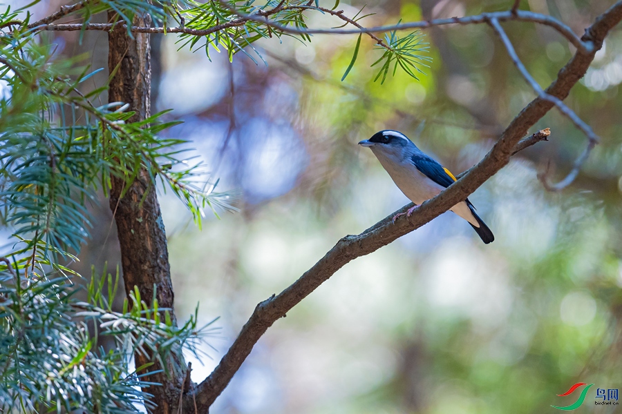 DSC_2297a.jpg