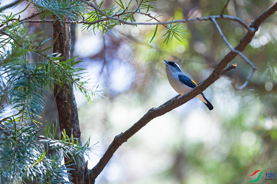 DSC_2298a.jpg