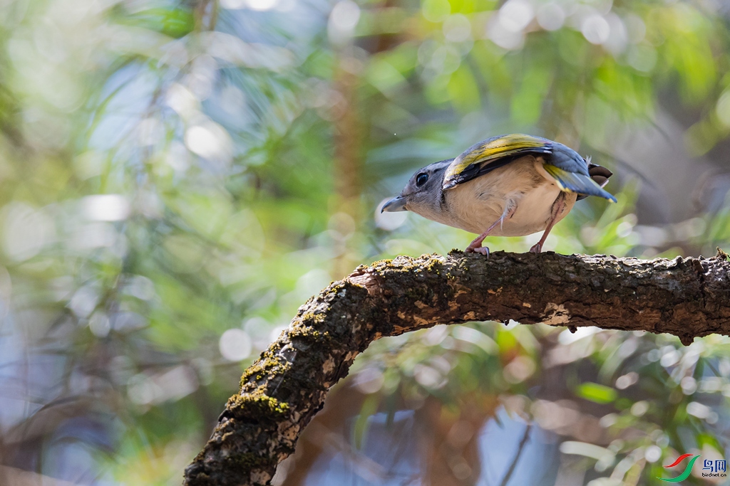 DSC_2419a.jpg