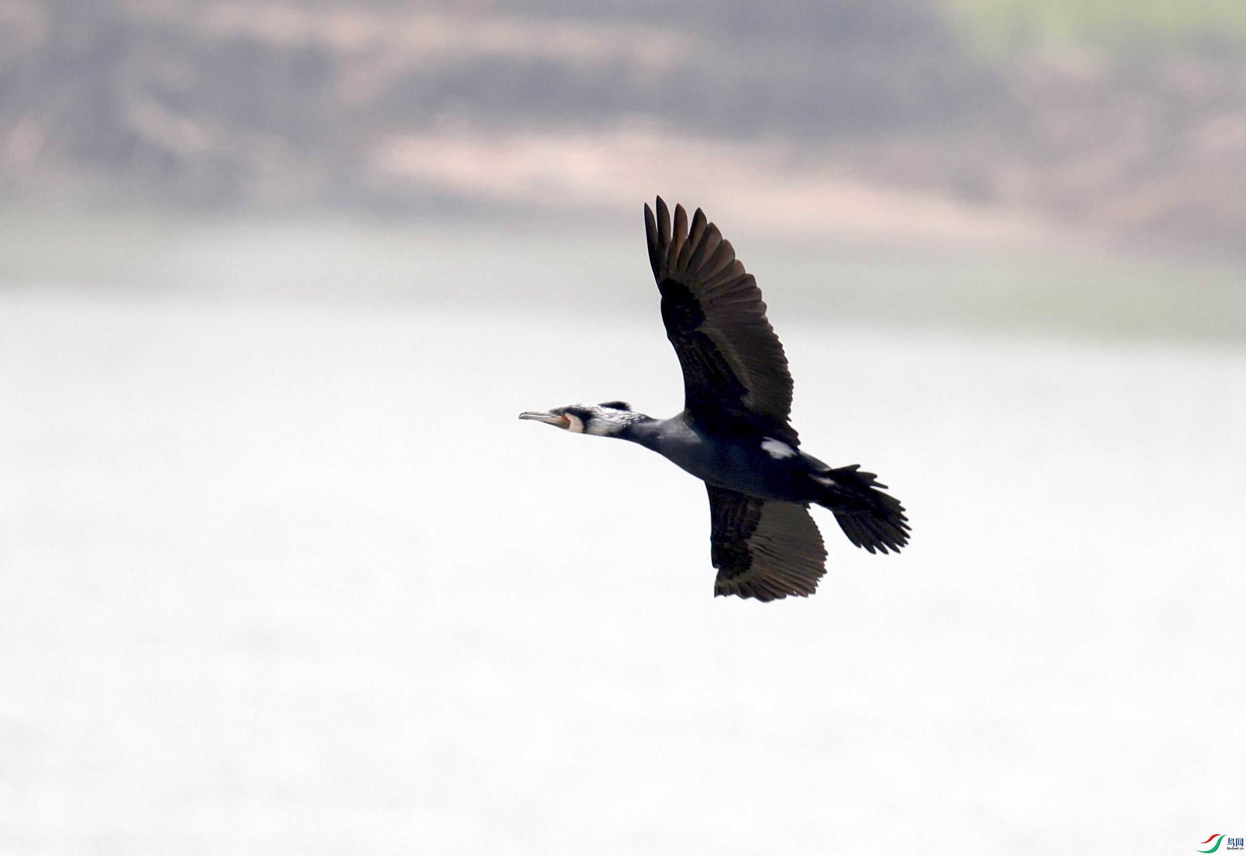 ������С �����ع� 0E5A2742111.jpg