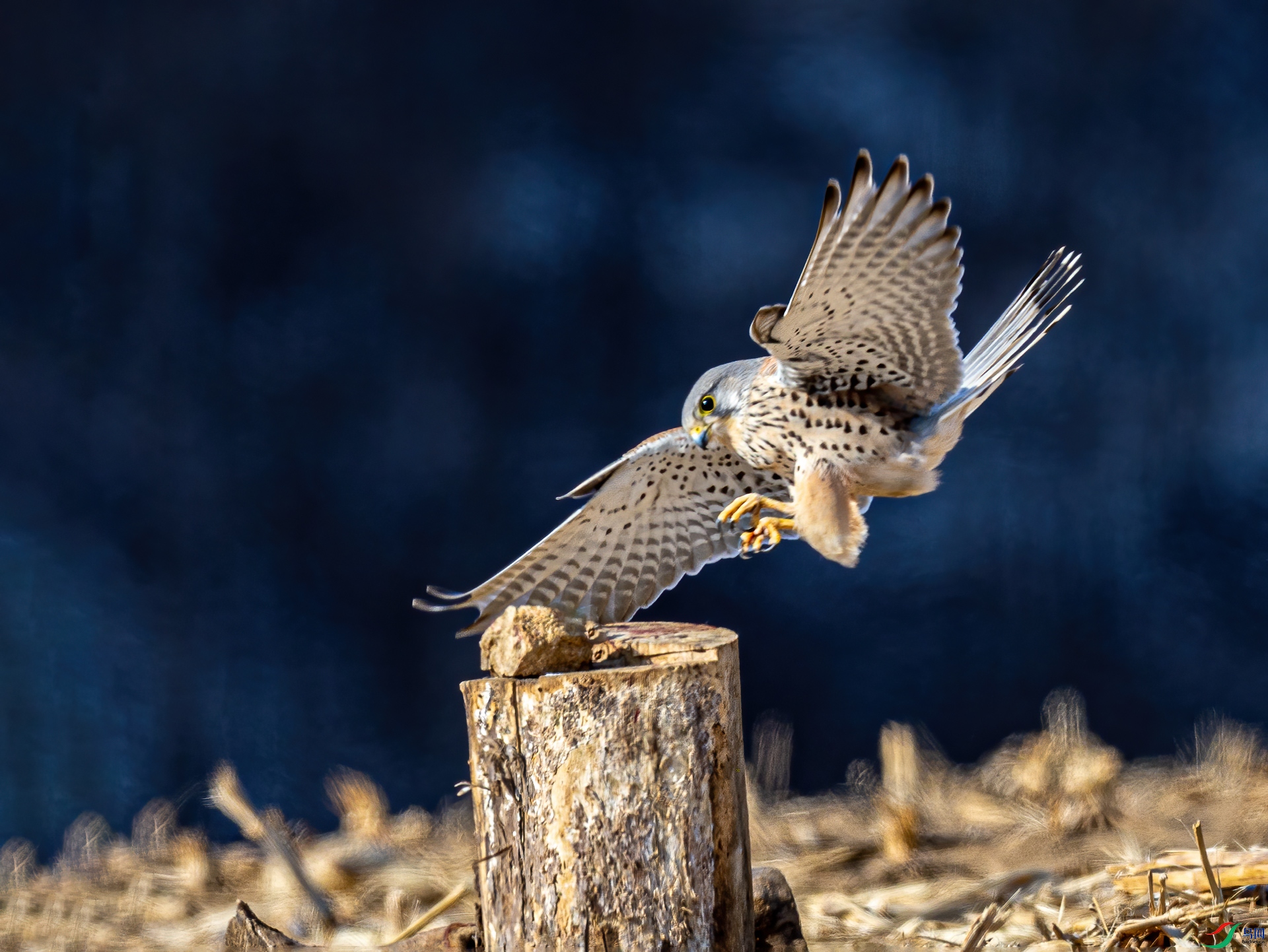����0C4A0134.jpg