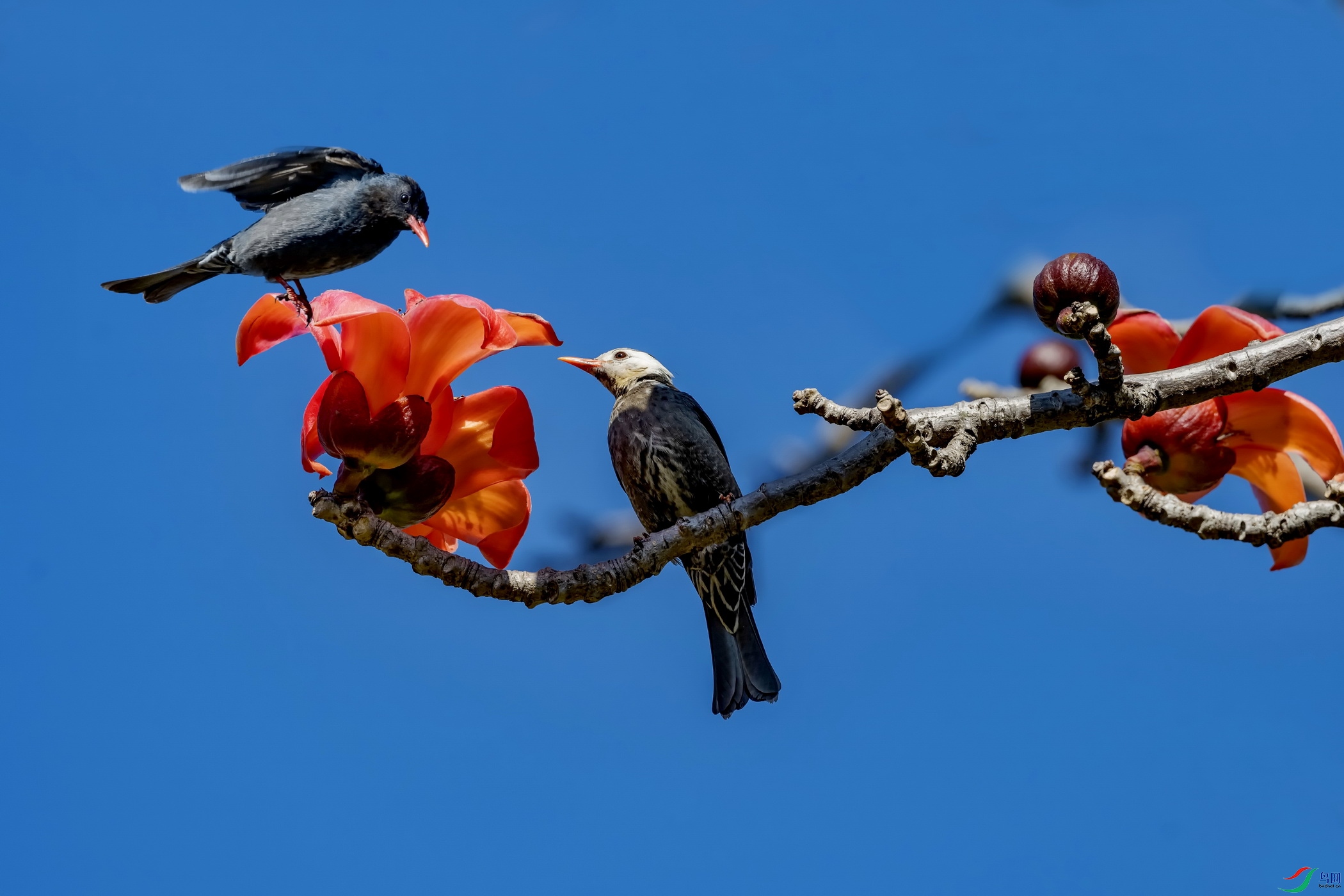 �ڶ̽��� (15)-1.jpg