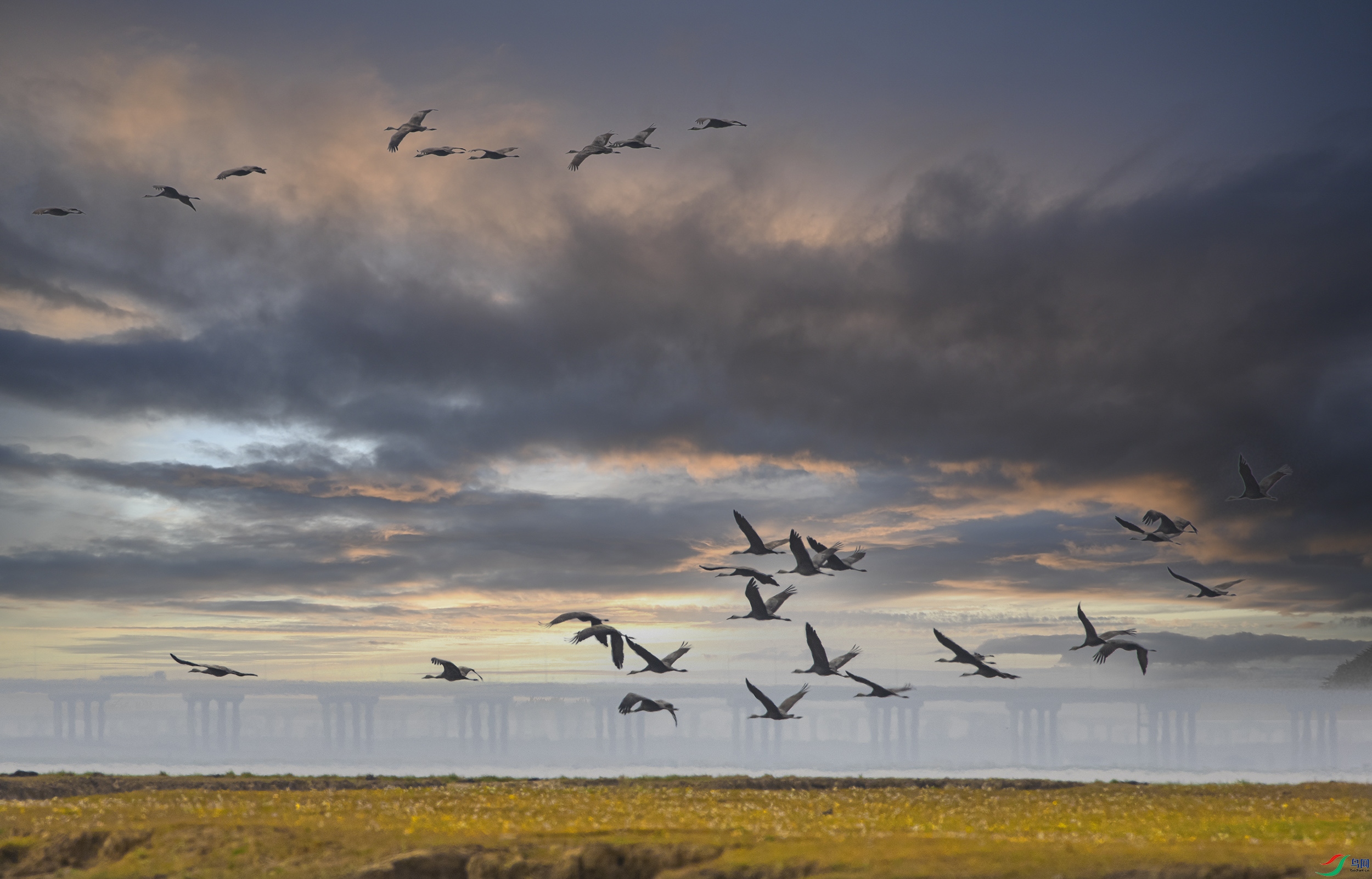 _07A6130--1 .jpg