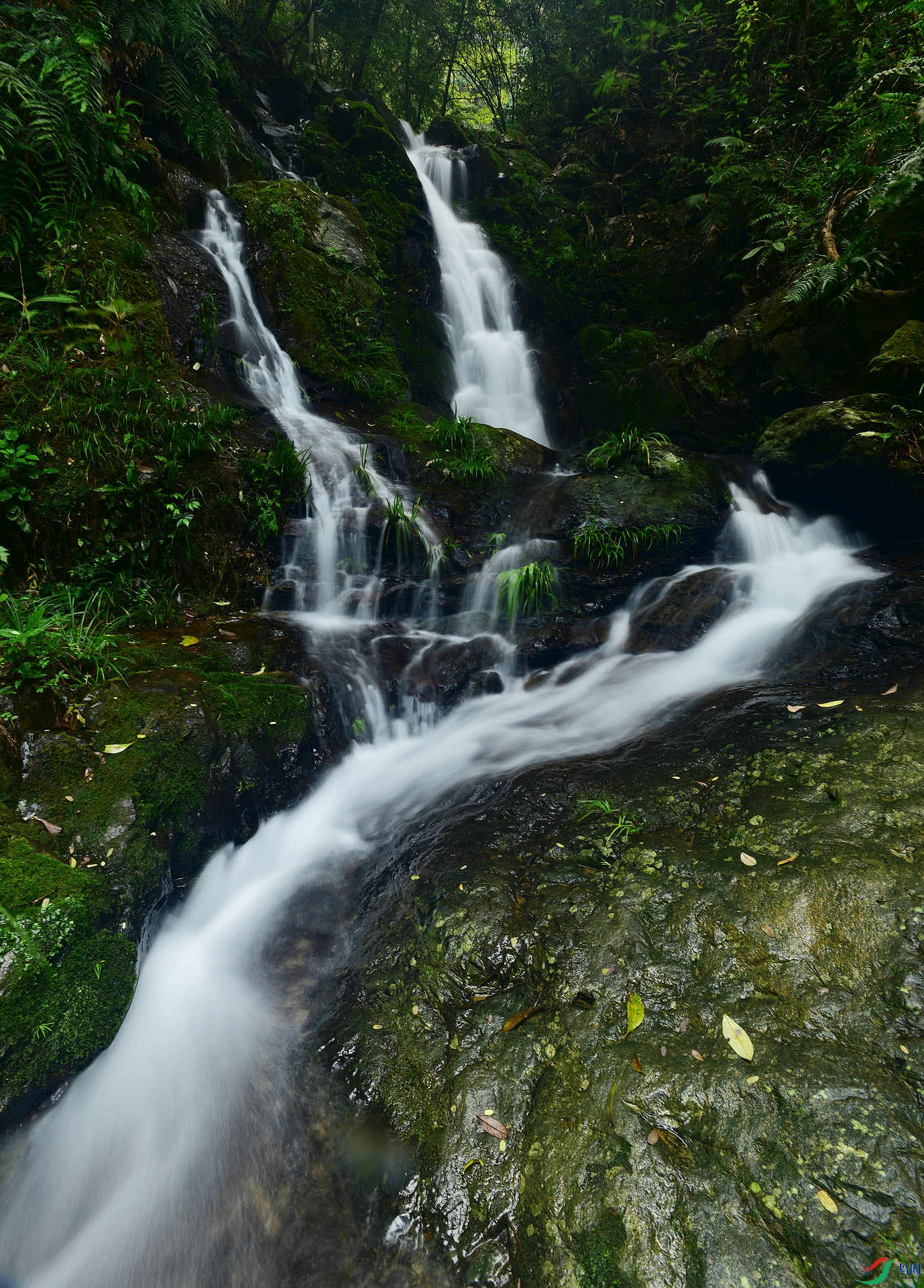 D8I_0366.jpg
