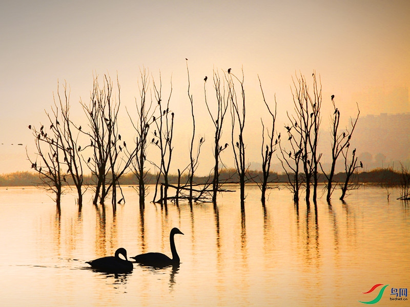 ����Ͽ ����.jpg