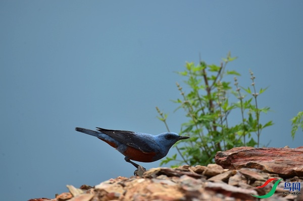 File0000051207.jpg