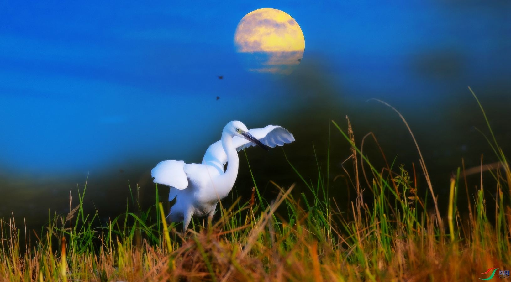 ̰���С����