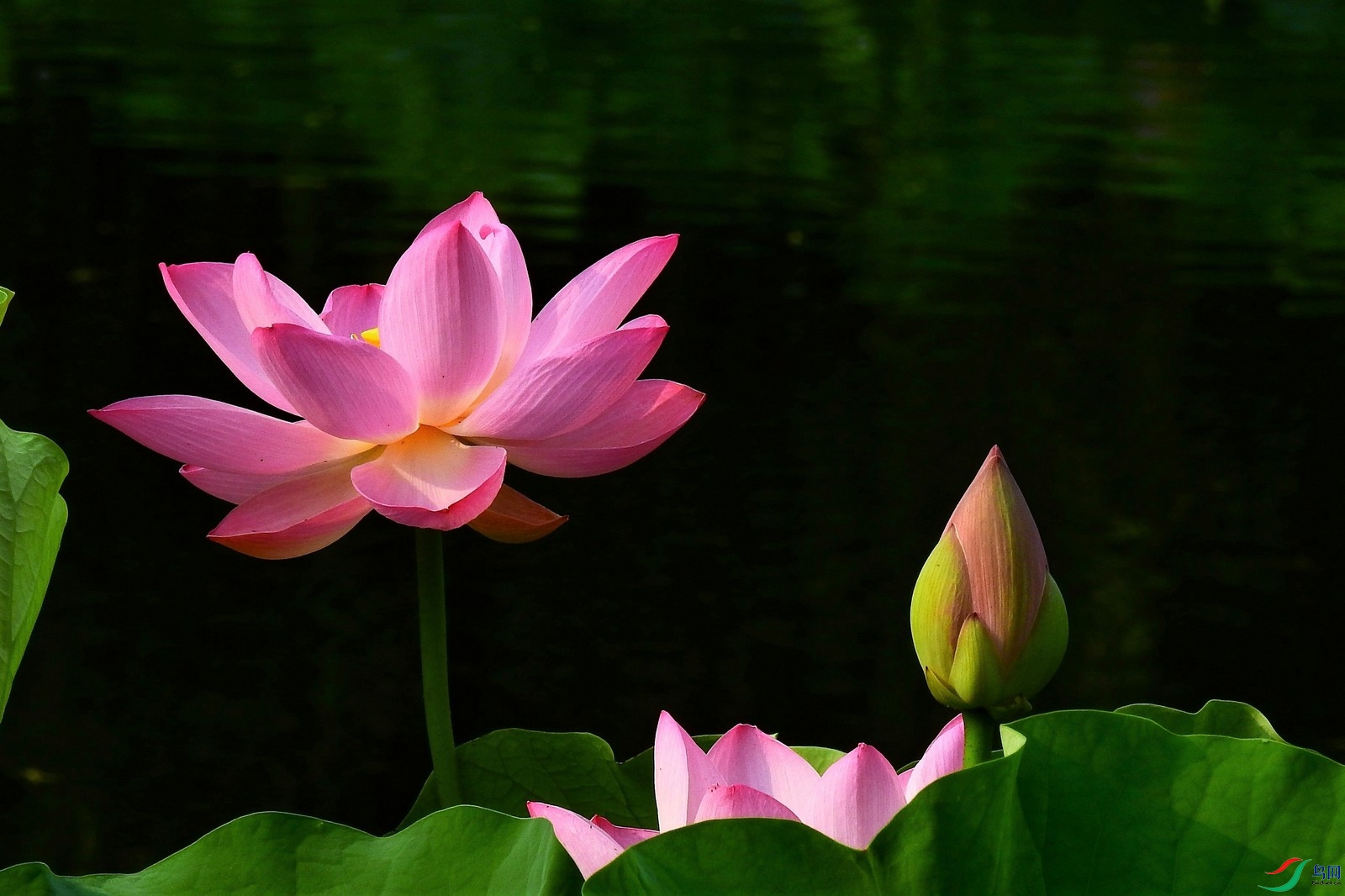DSCN9024.JPG