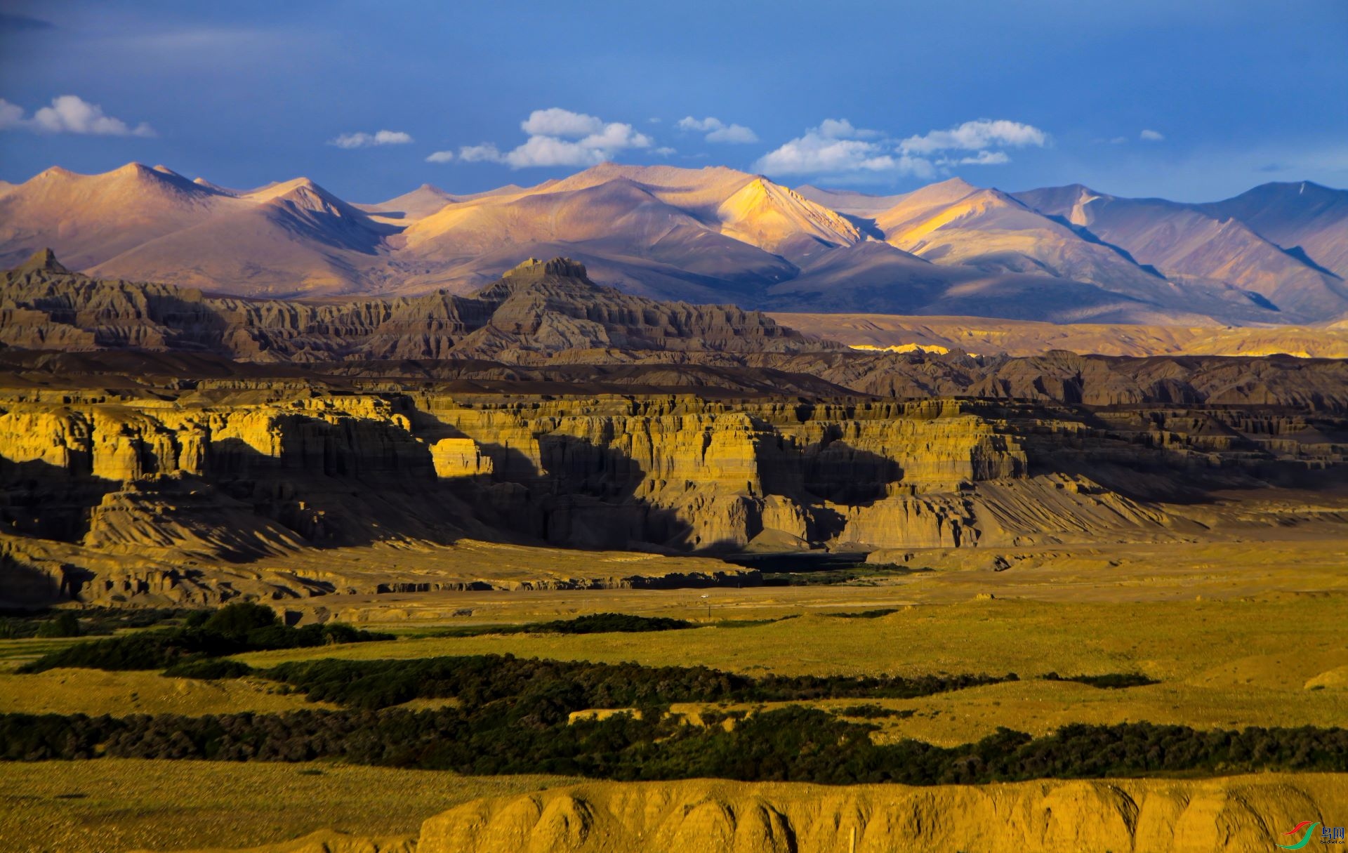 _MG_6475-denoise-denoise (1).jpg