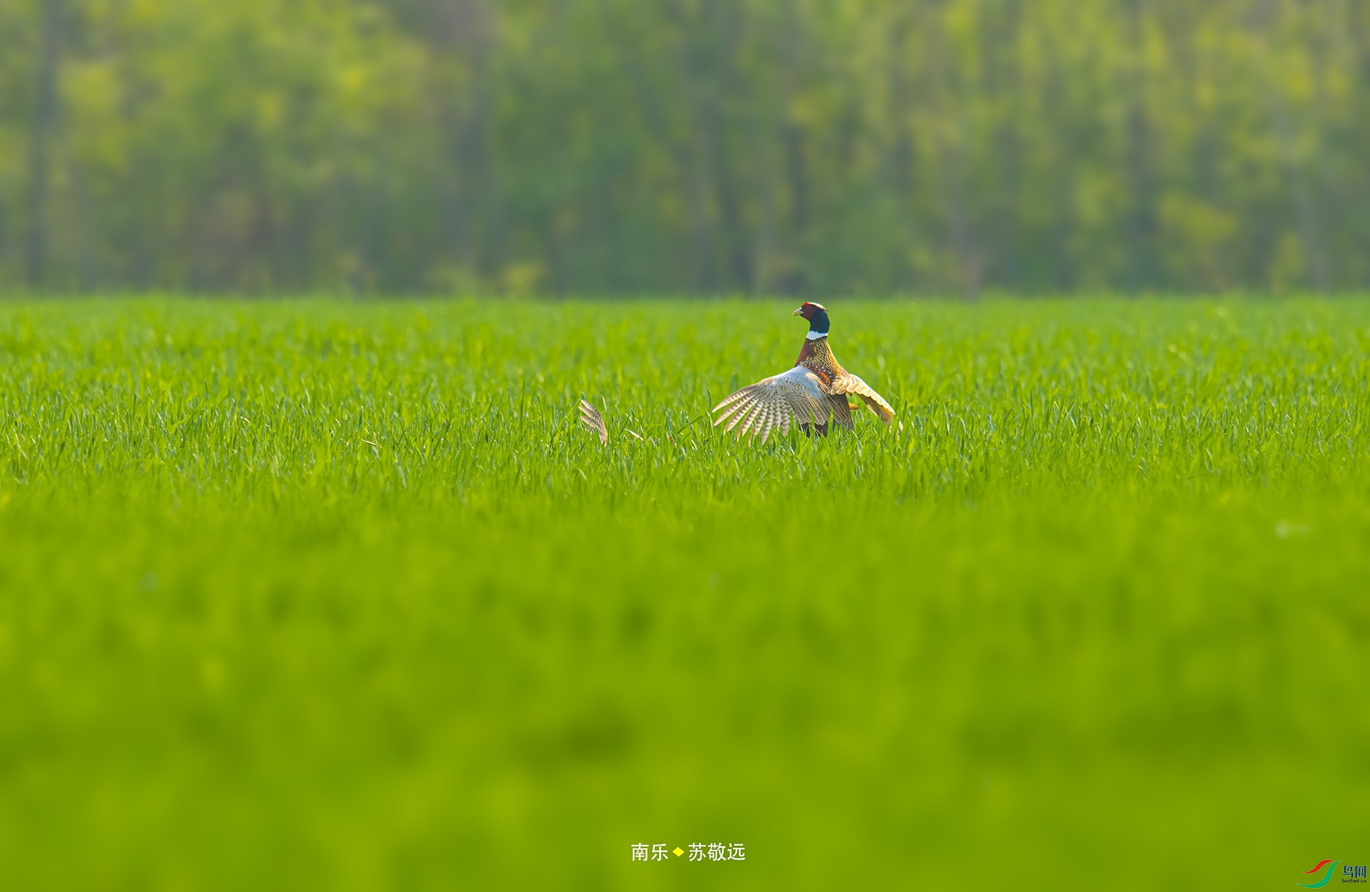 _DSC6681С.jpg