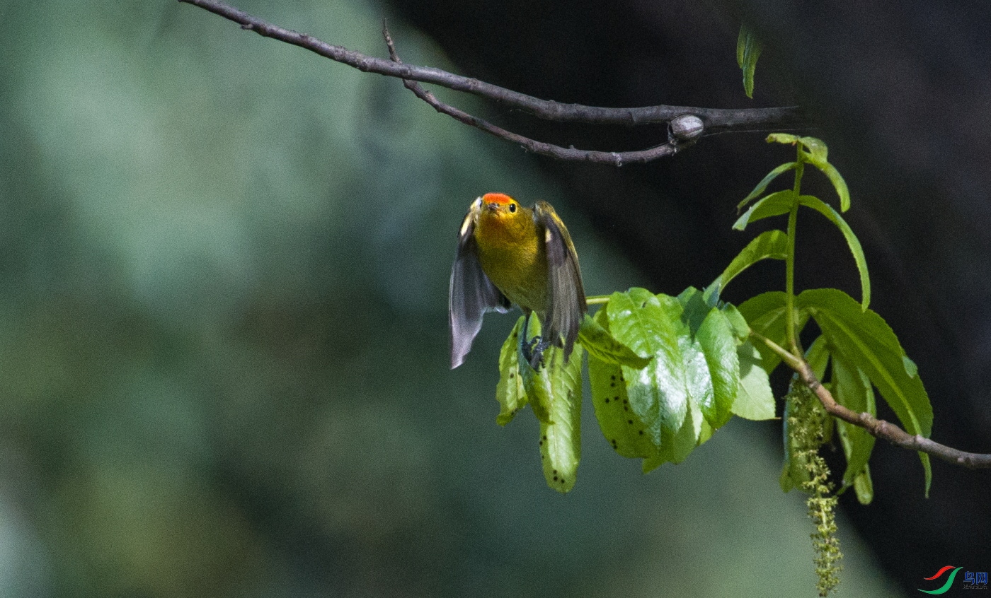 DSC_3450.JPG