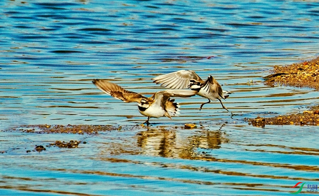 ������� (1).jpg