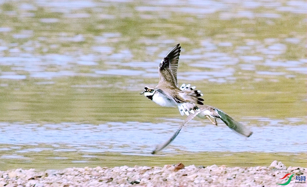 ������� (2).jpg