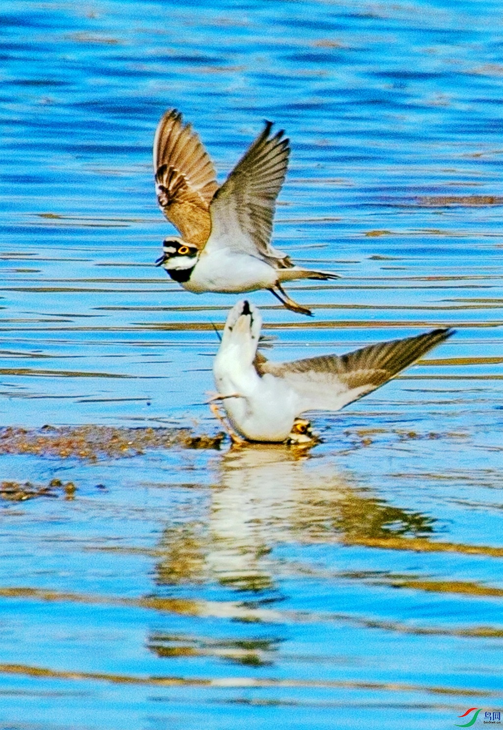 ������� (3).jpg