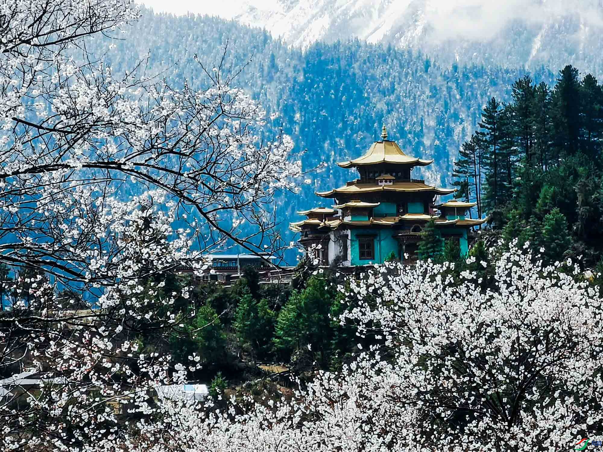 �һ�ʢ���ĵط�