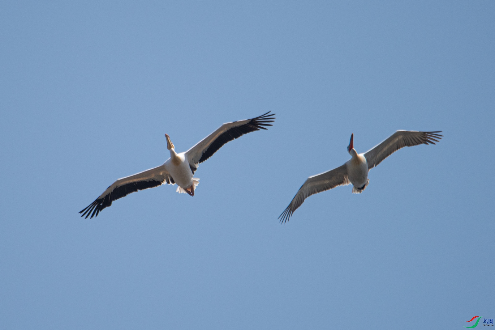 DSC_9370.jpg