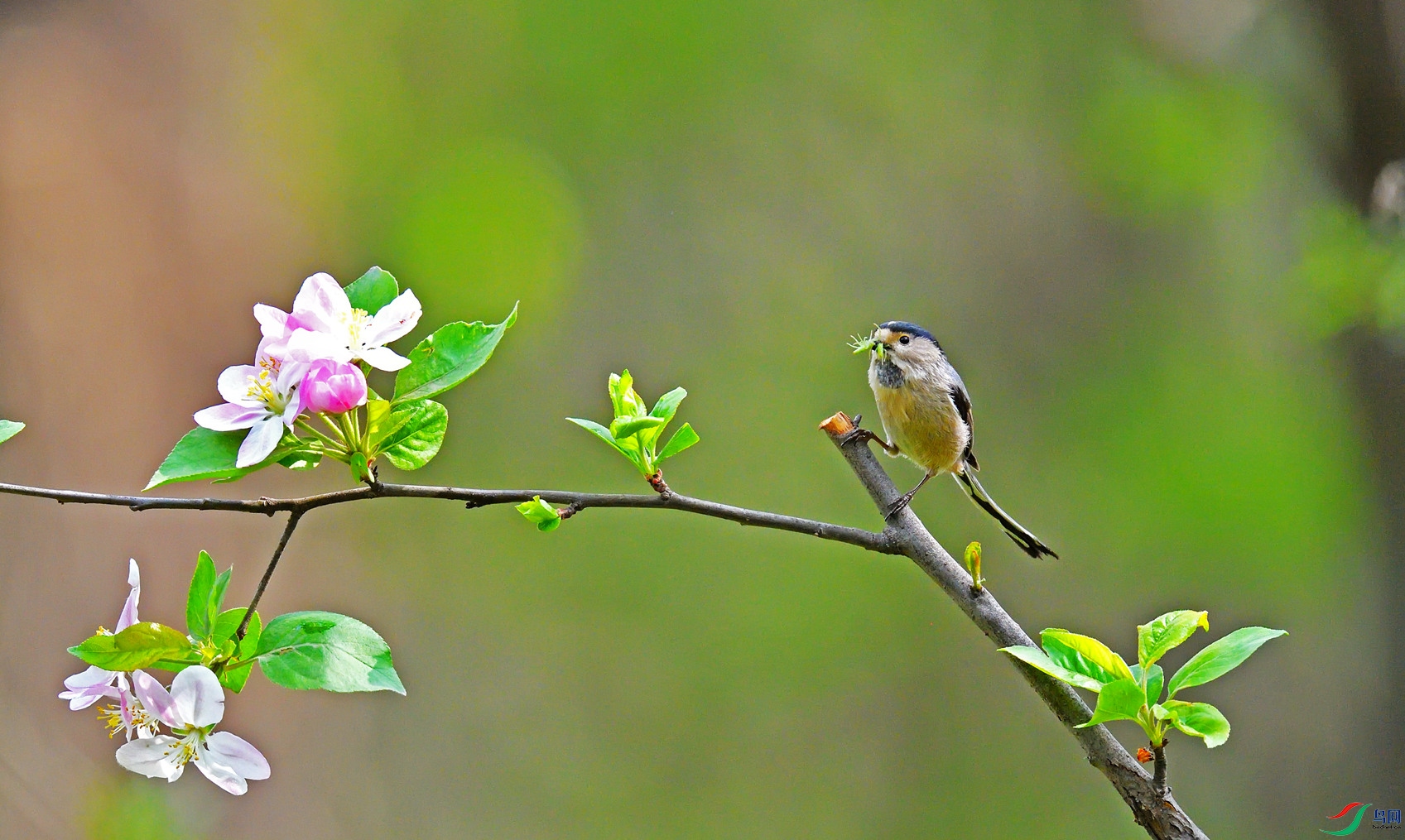 DSC_5327a_����.jpg