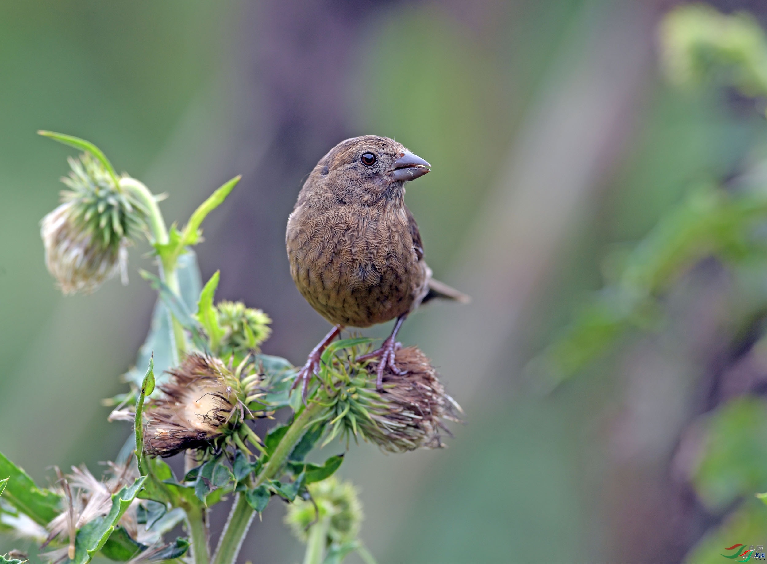 ����ӭ��  ��ʦ�����������ϴ���.jpg