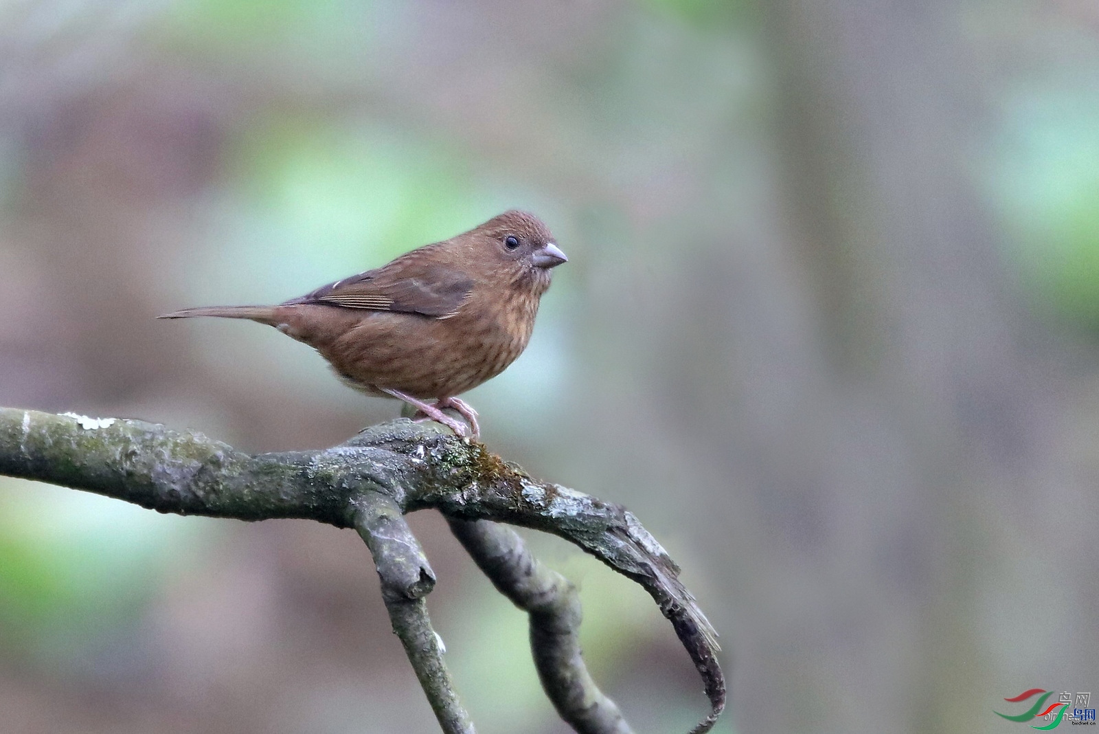 �����ҷ� ��ʦ�������Ĵ�ʡ������������.jpg