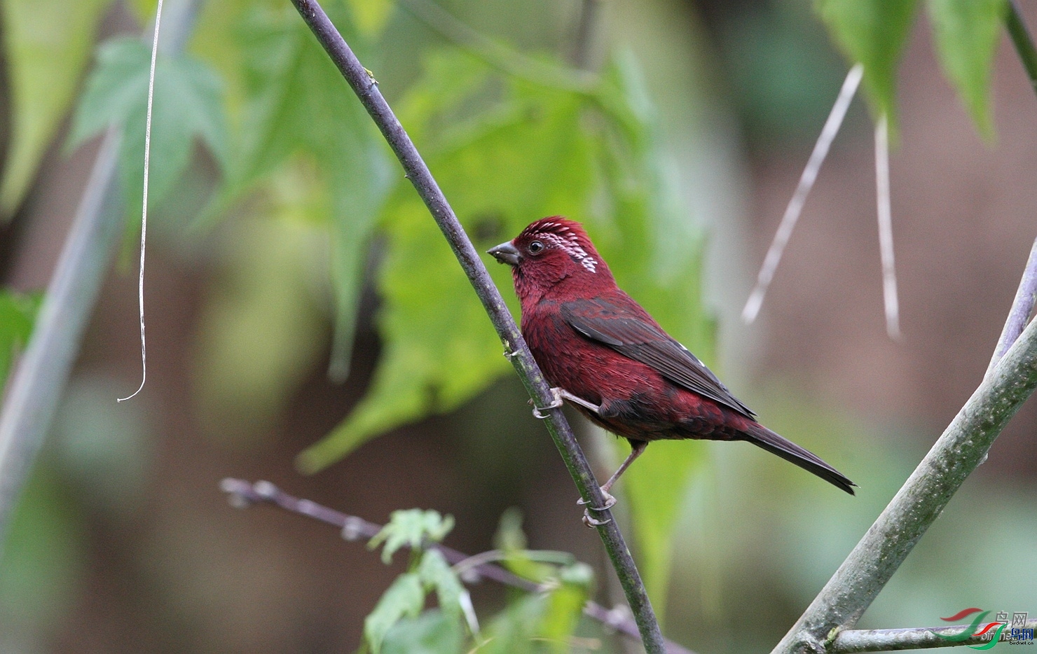 ����  ��ʦ����.jpg