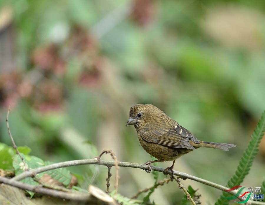 ֪������  ��ʦ����.jpg