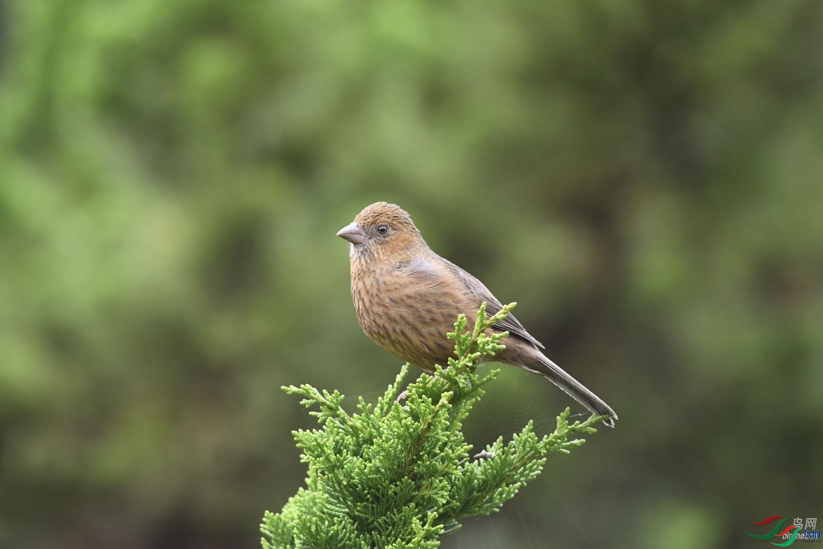 �����  ��ʦ������̨�����̨����.jpg