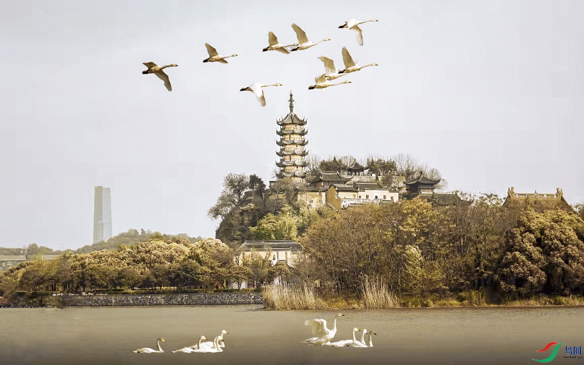 ˮ���� 1.jpg