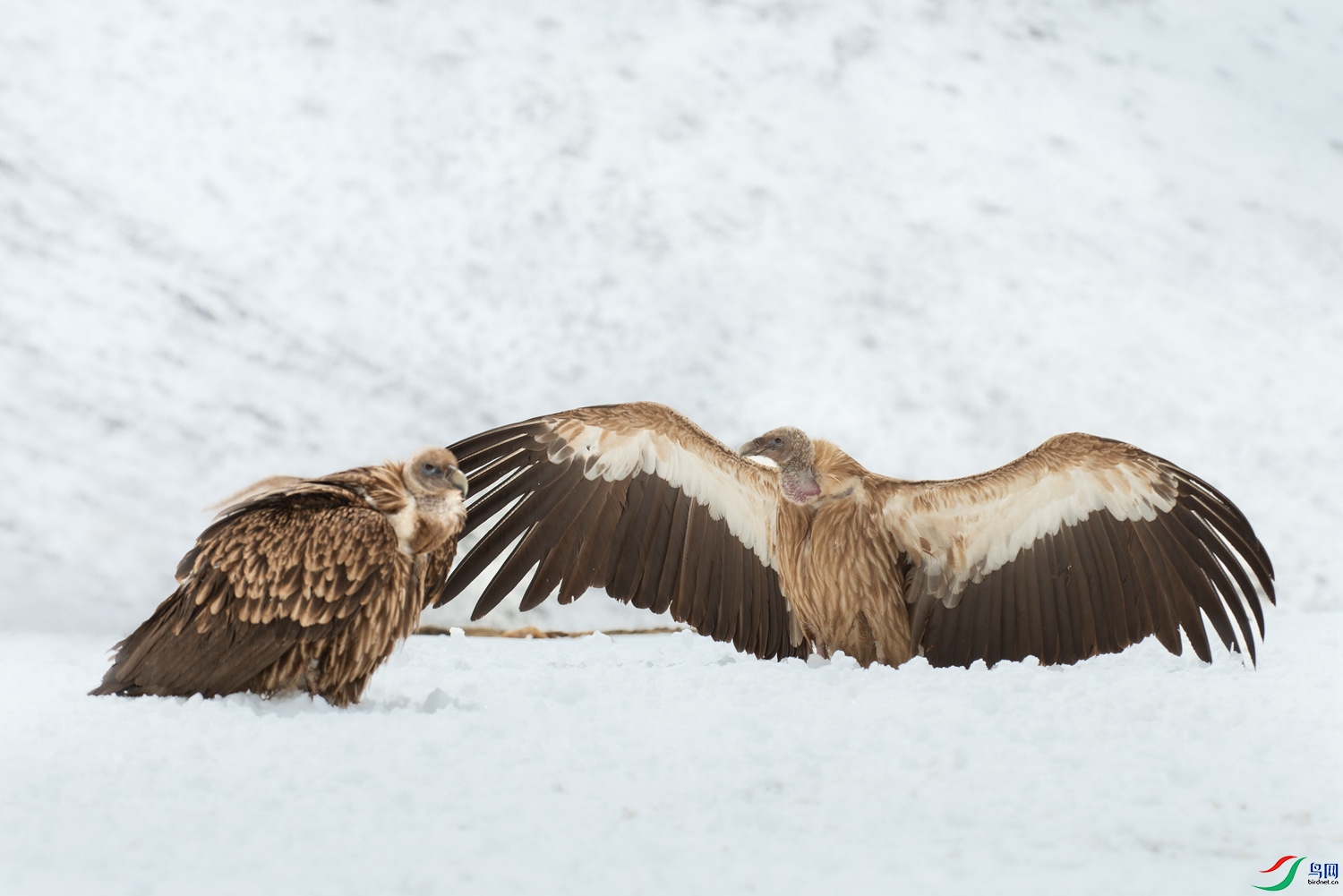 DSC_7944 ����_����.jpg