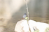 _C5R3428_���� - ����.jpg