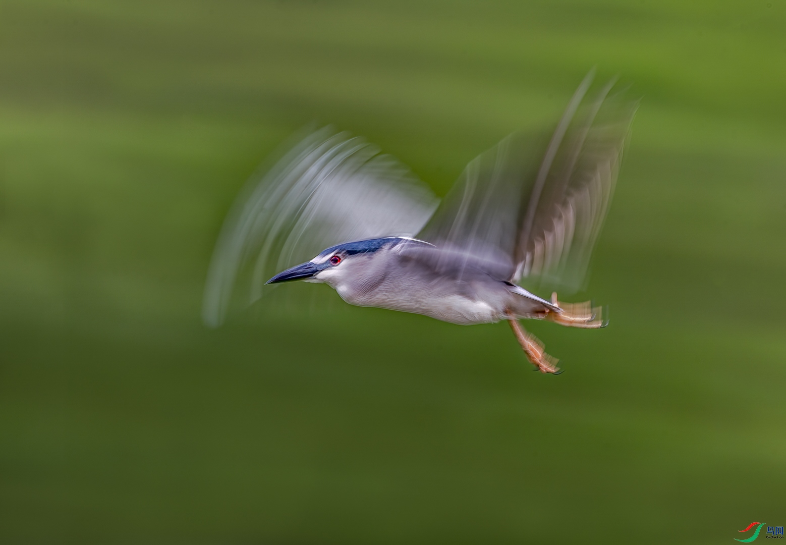 202203283350033520220328.JPG
