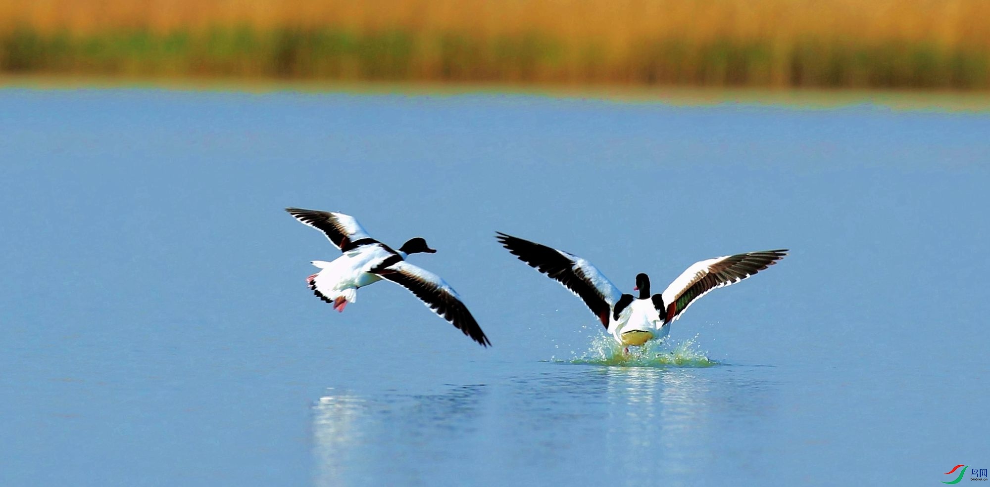 AK2Y4038 2000_����.jpg