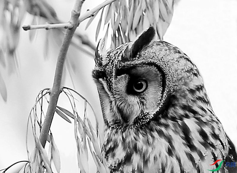 1-1-1008_����.jpg