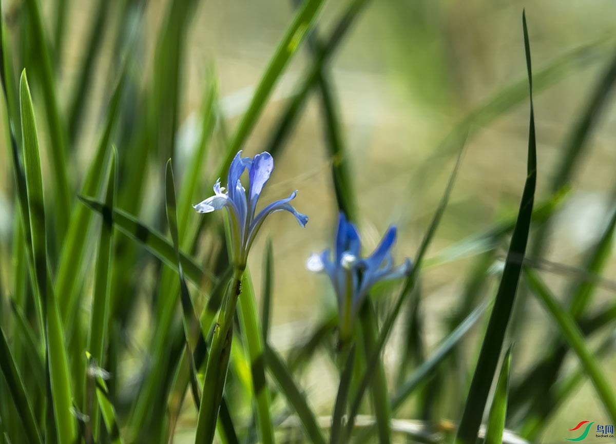 _DSC1536.jpg-1 - ���� - ����.jpg