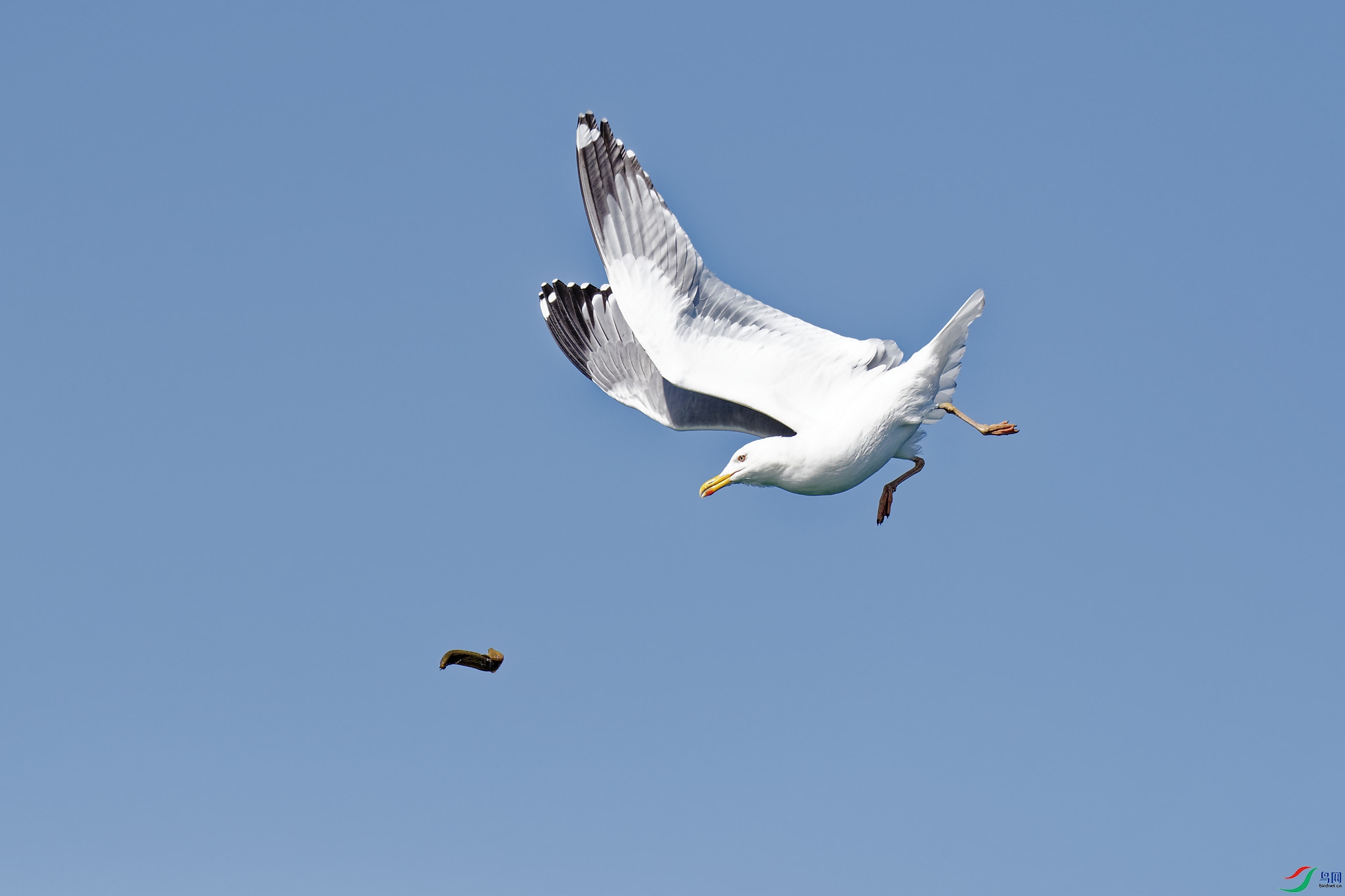DSC_3876.jpg