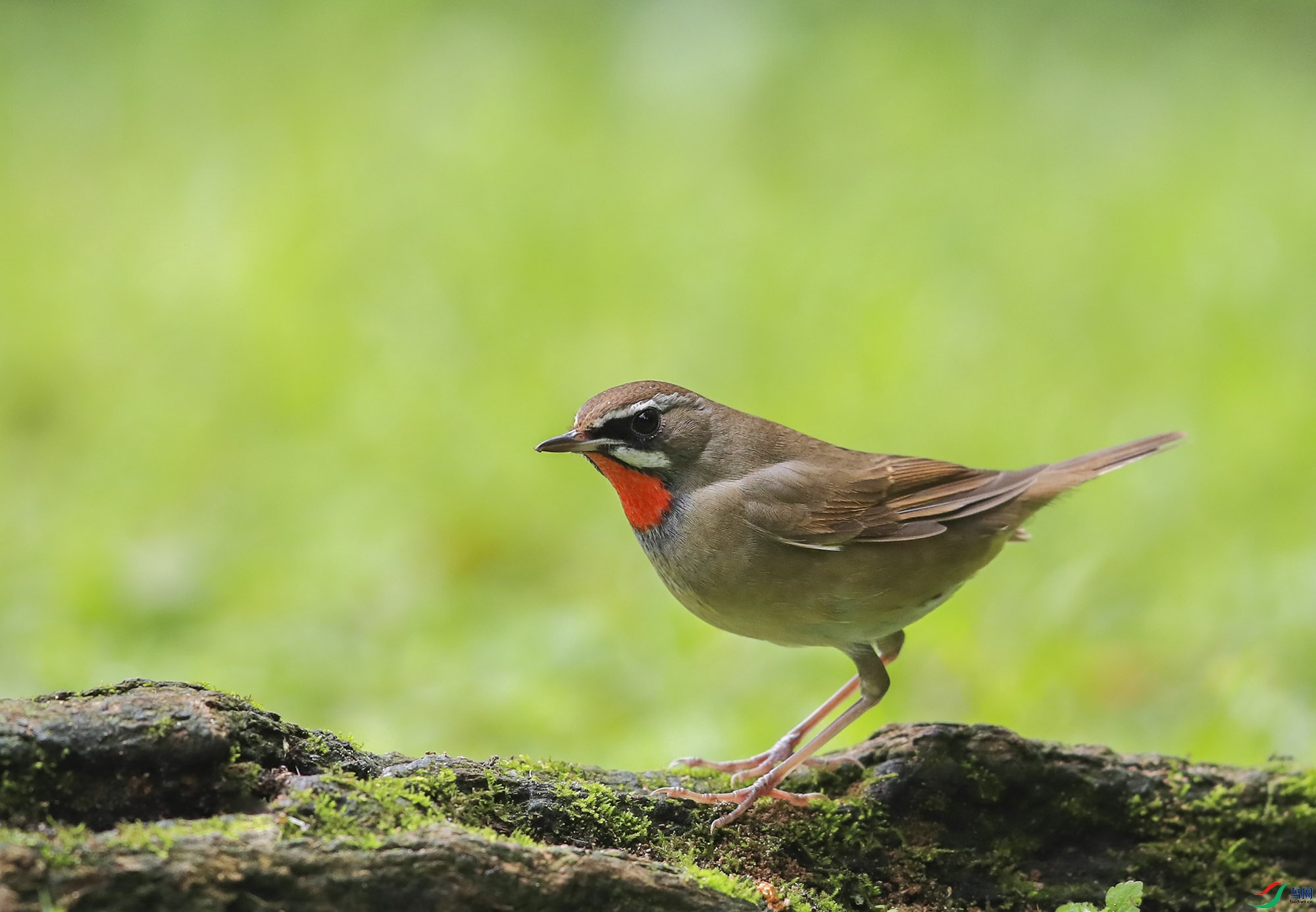 BT1I0013--�� (4).jpg